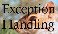 Exception Handling