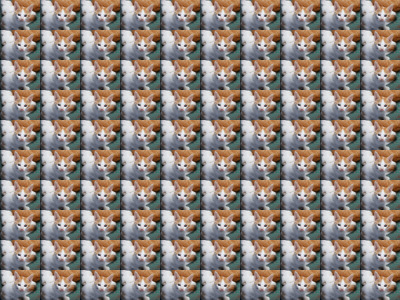 A 400x300 image that shows a 10x10 grid of pictures of a kitten.
