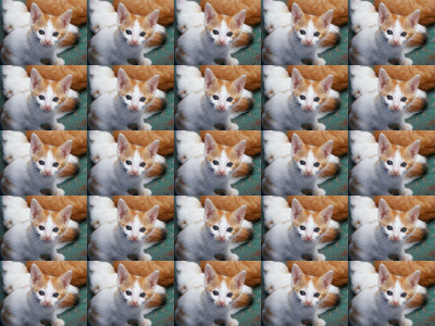 A 400x300 image that shows a 5x5 grid of pictures of a kitten.