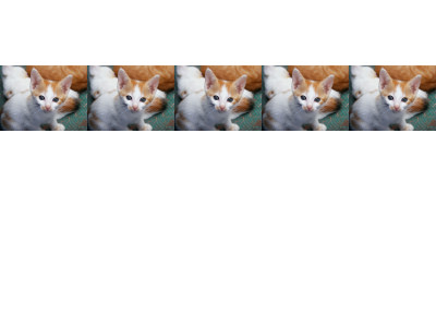 A 400x300 image that shows a row of five identical copies of a picture of a kitten, each of which is 80x60. The row is approximately 1/5 of the way from the top of the image.