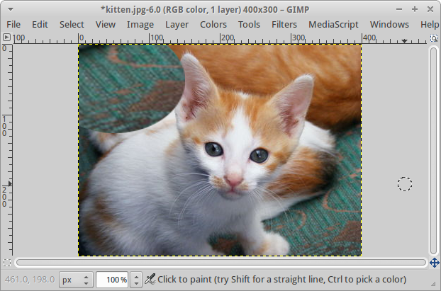 A GIMP window with a 400x300 image of a kitten. An eliptical region in the upper-left-hand corner contains a stretched version of the green carpet that was previously copied.