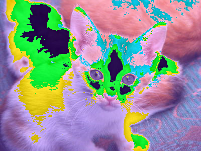 the same white and orange kitten, now in a strange color palette