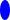 a solid blue 10-by-20 ellipse