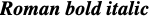the text "Roman bold italic"