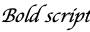 the text "Bold script"