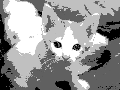 An image of a kitten, rendered in large splatches of white, light gray, dark gray, and black