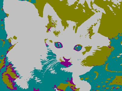 An image of a kitten converted into dark somewhat greenish colors with a bit of purple.