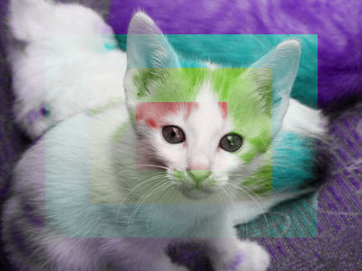 The standard kitten image. A small box in the center of the image has been made red; a surrounding box has been made yellow-green; a surrounding box has been made teal; and a surrounding box has been made purple.