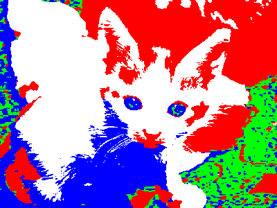An image of a kitten converted into red, green, blue, and white.