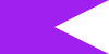 a solid purple polygon built from the points (list (pt 0 0) (pt 100 0) (pt 50 25) (pt 100 50) (pt 0 50))