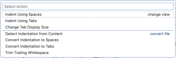 A menu. At the top is "Indent Using Spaces". Next is "Indent Using Tabs".