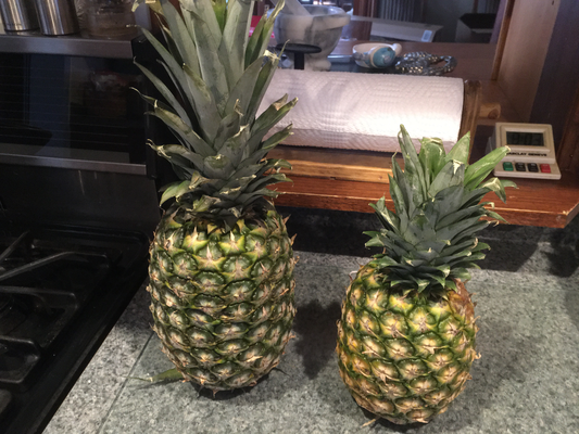 Two pineapples, one significantly larger than the other