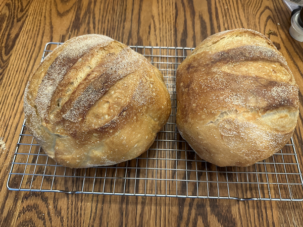 Two round loaves of white bread on a cooling rack