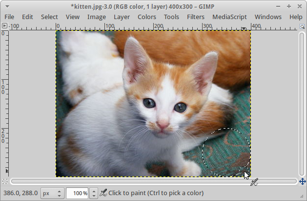 A GIMP window with a 400x300 image of a kitten. A circular region
in the lower-right-hand corner is selected. That region contains
a swatch of green carpet.