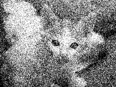 An image of a kitten made with speckled greyscale points