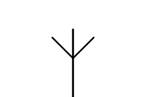 A straight line going upward from the bottom of the image.  Three lines branch out, one at -45 degrees, one at 0 degrees, and one at 45 degrees.