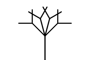 A straight line going upward from the bottom of the image.  Four lines branch out. Two lines then branch out from each of those three lines
