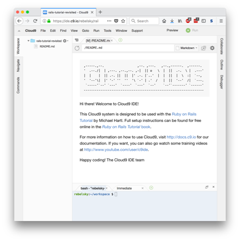 The Cloud 9 IDE.  The word "Cloud 9 IDE" is in ASCII art.